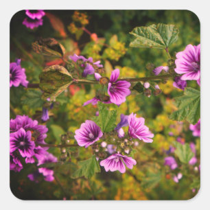 Zebra Hollyhock Flowers #1 Stickers