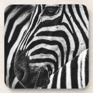 Zebra Illusion Coaster