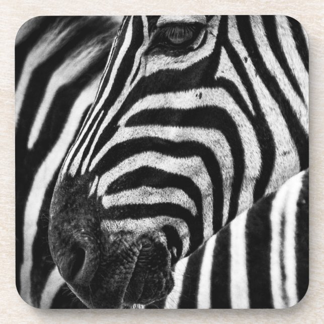 Zebra Illusion Coaster (Front)