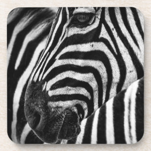 Zebra Illusion Coaster