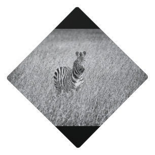 Zebra in high grass graduation cap topper