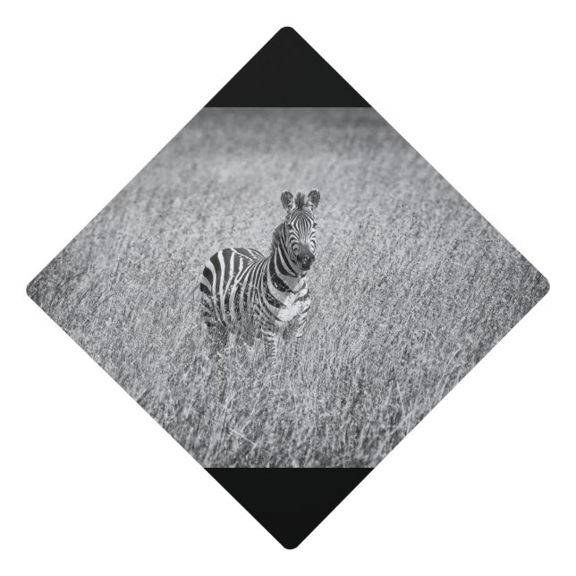 Zebra in high grass graduation cap topper (Front)