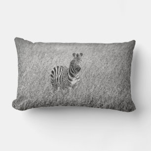 Zebra in high grass lumbar pillow
