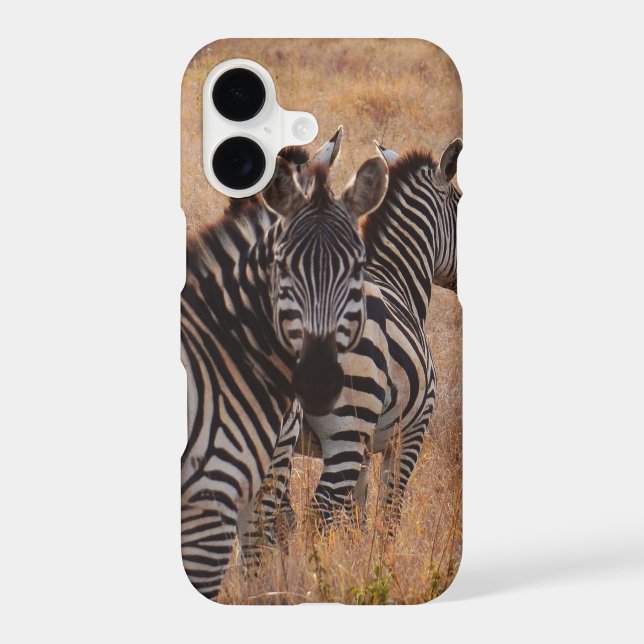 Zebra in Kenya (Back)