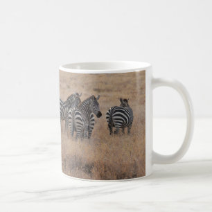 Zebra in Kenya Coffee Mug