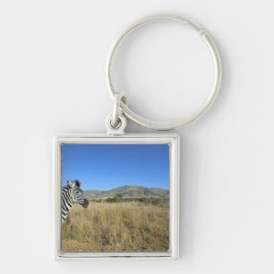 Zebra in open plain, Pilansberg National Park, Keychain
