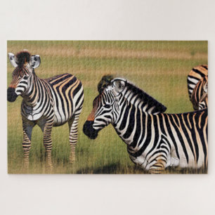 Zebra In The Grass Jigsaw Puzzle
