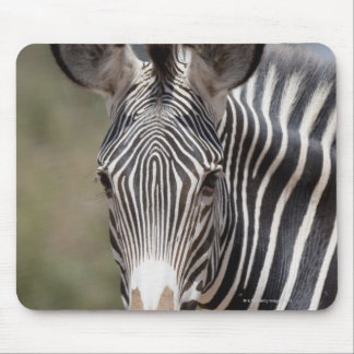 Zebra, Kenya, Africa Mouse Pad