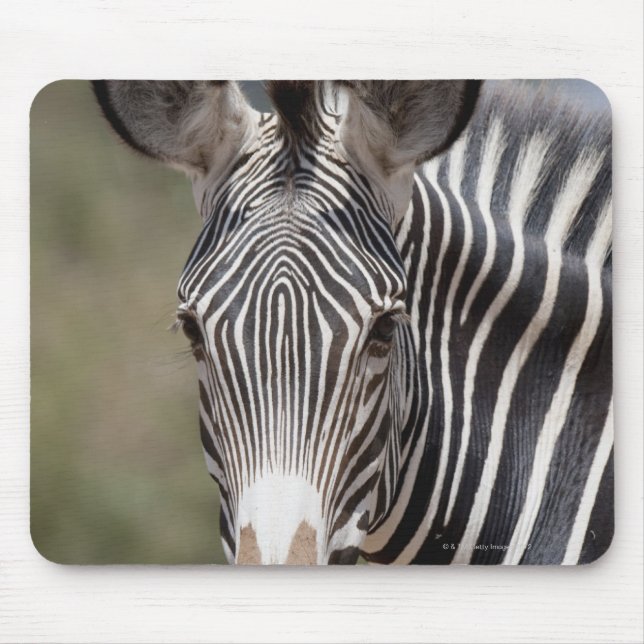 Zebra, Kenya, Africa Mouse Pad (Front)