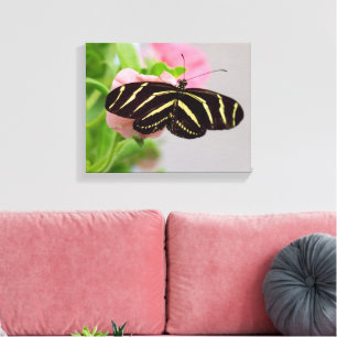 Zebra Longwing Butterfly Canvas Print