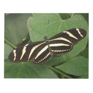 Zebra Longwing Butterfly Notepad