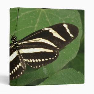 Zebra Longwing Butterfly Photo Album Binder