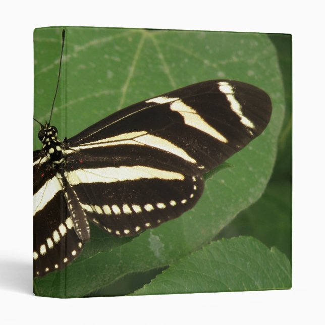 Zebra Longwing Butterfly Photo Album Binder (Front/Spine)