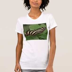 Zebra Longwing Butterfly T Shirt
