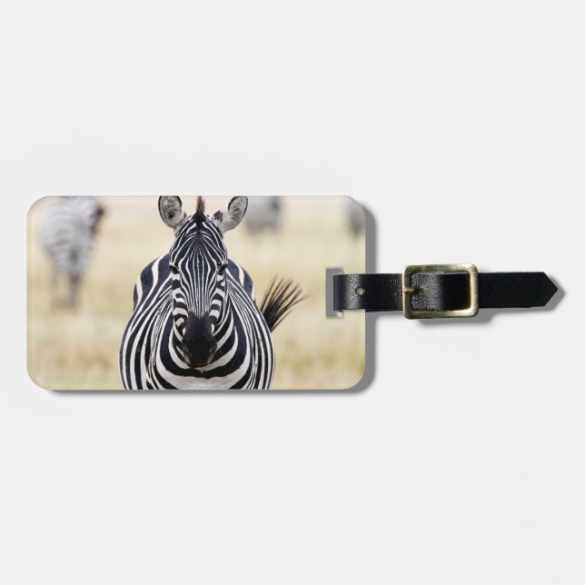 Zebra looking at you luggage tag (Front Horizontal)