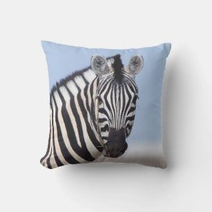 Zebra looking at you with blue sky photo outdoor pillow