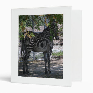 Zebra Love Binder