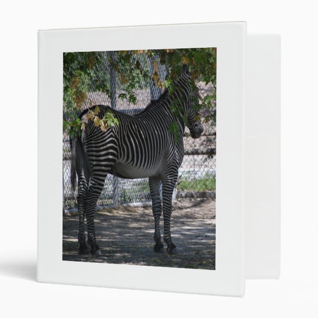 Zebra Love Binder (Front/Inside)