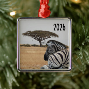 Zebra Lying Down, Kenya Landscape, Acacia Tree Metal Ornament