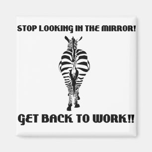 zebra magnet