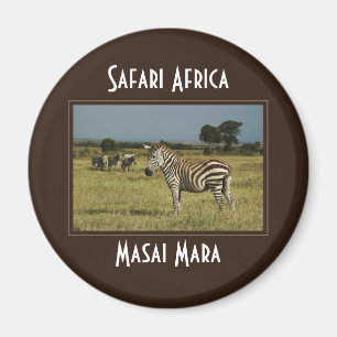 Zebra migration faune magnets safari