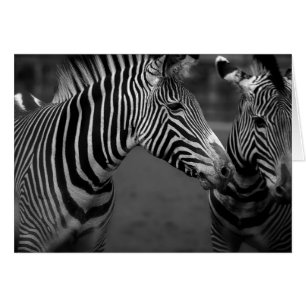 Zebra monochrome image