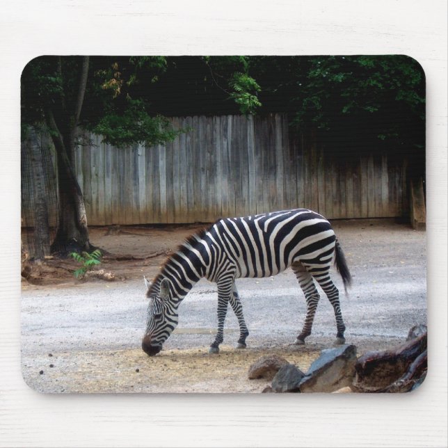 Zebra Mouse Pad (Front)