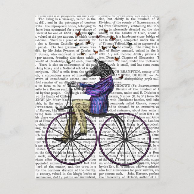 Zebra On Bicycle Postcard (Front)