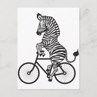 Zebra on Bike Postcard