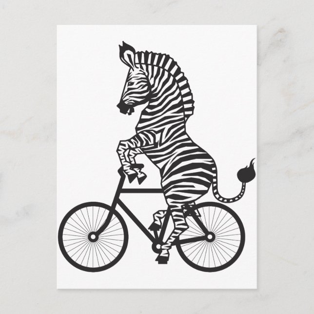 Zebra on Bike Postcard (Front)