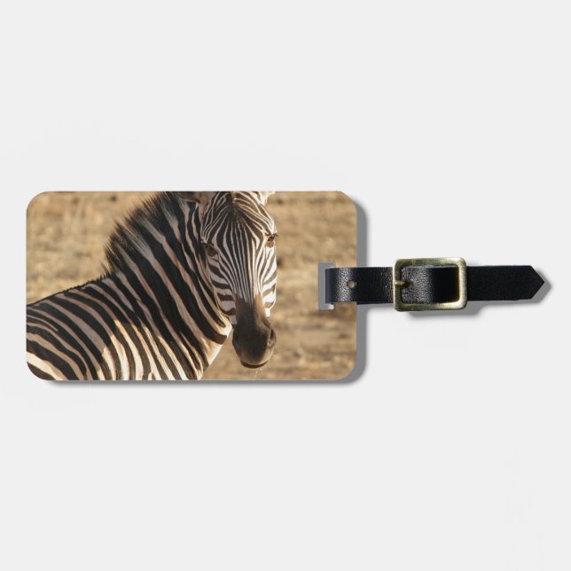 Zebra on the Savannah Luggage Tag (Front Horizontal)