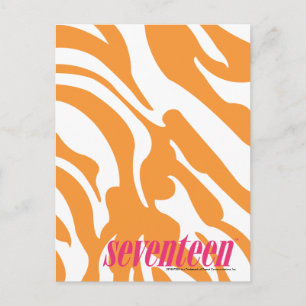 Zebra Orange Postcard