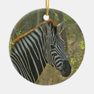 Zebra Ornament