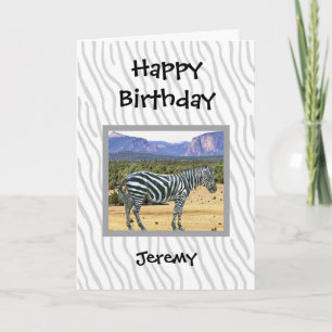 Zebra photo in a natural setting card