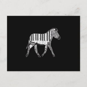 Zebra Piano Keyboards Piano Player Pianist Musicia Postcard