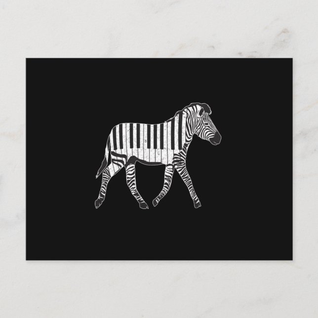 Zebra Piano Keyboards Piano Player Pianist Musicia Postcard (Front)