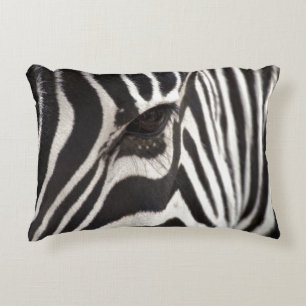 Zebra Pillow