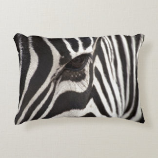 Zebra Pillow
