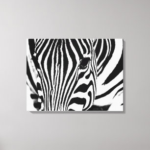 Zebra portrait black and white canvas print