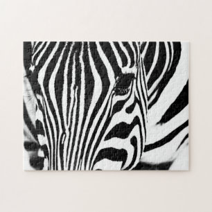 Zebra portrait black and white photo jigsaw puzzle