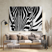 Zebra portrait black and white photo