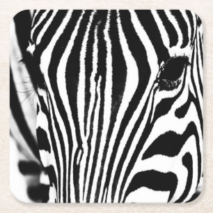Zebra portrait black and white square paper coaster
