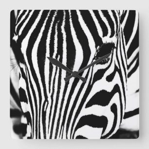 Zebra portrait black and white square wall clock