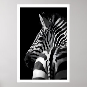 Zebra Portrait Print Modern Black and White Wall