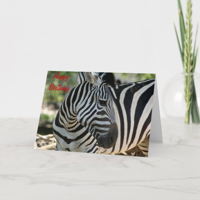 Zebra Pose Birthday Card (Front)