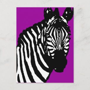 zebra. postcard