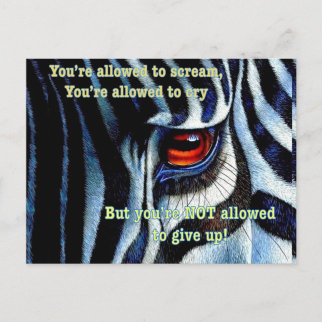 Zebra postcard (Front)