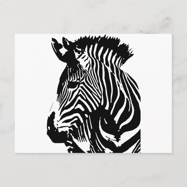 Zebra Postcard (Front)