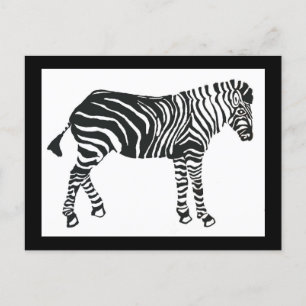 Zebra postcard