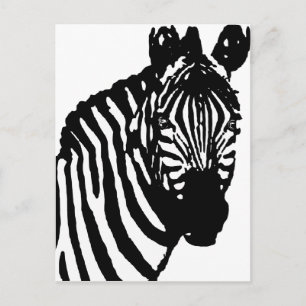 zebra. postcard